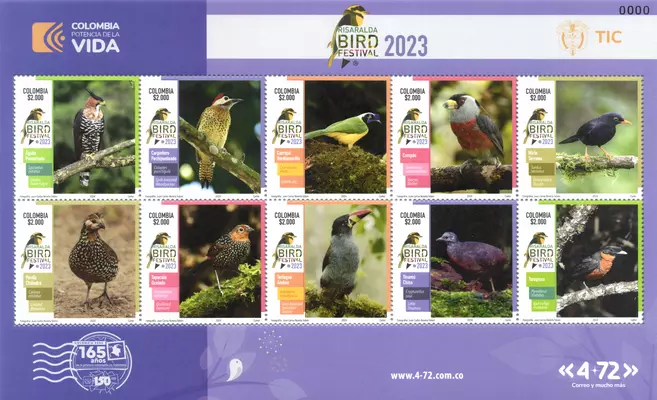 Risaralda Bird Festival 2023