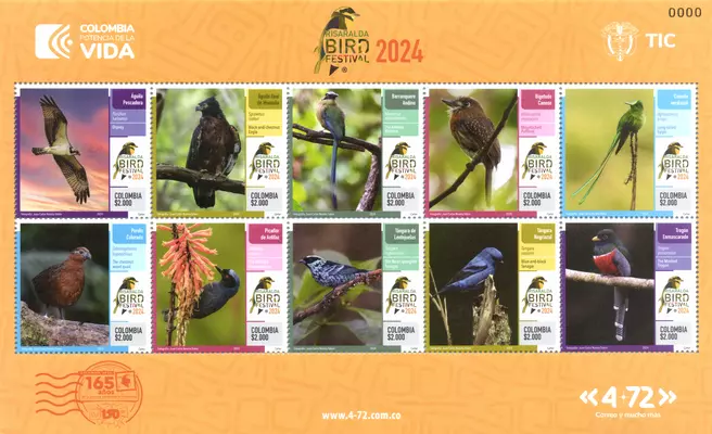 Risaralda Bird Festival 2024
